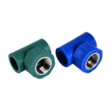 [PS140033]  PS ARAX TE FEMELLE PPR 020 x 1/2  BLEU  